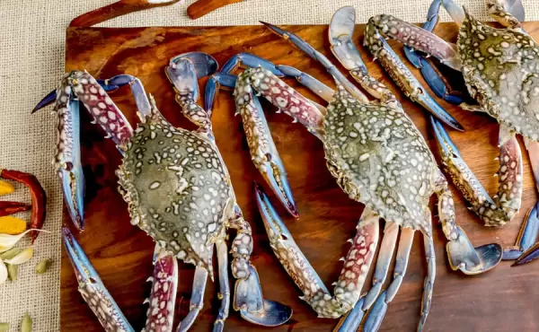 Blue Crab (Nandu/Aedi) Whole Cleaned