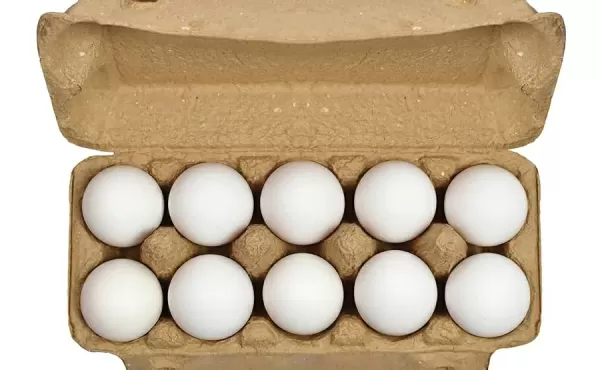 Classic White Eggs (Pack of 10)