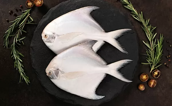 White Pomfret (Paplet/Avoli) Whole Cleaned