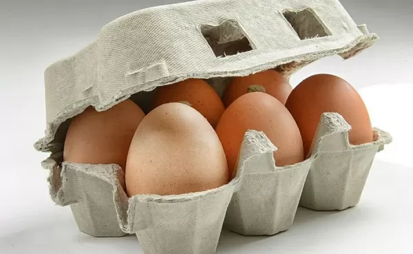Natural Brown Eggs (Pack of 6)