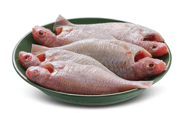Pink Perch Medium - Whole Cleaned (With Head)