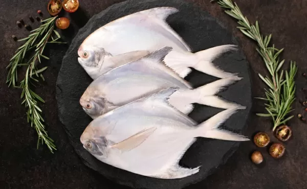 White Pomfret (Paplet/Avoli) Steak