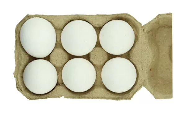 Classic White Eggs (Pack of 6)