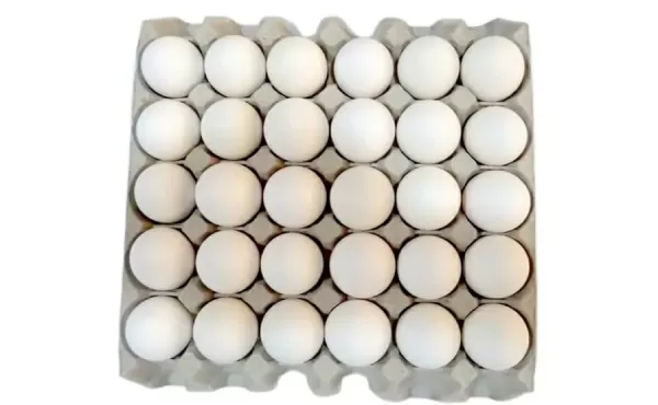 Value Pack - Classic White Eggs (Pack of 30)