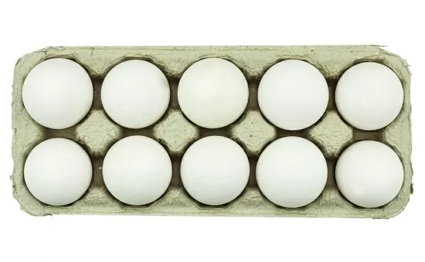 Classic White Eggs (Pack of 10)