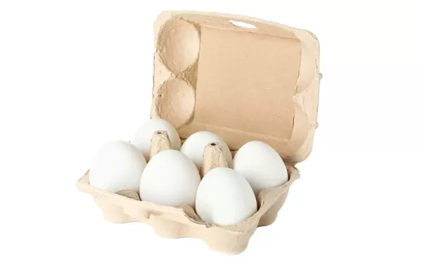 Classic White Eggs (Pack of 6)
